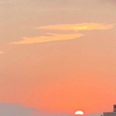 箭头不听话内购破解版下载